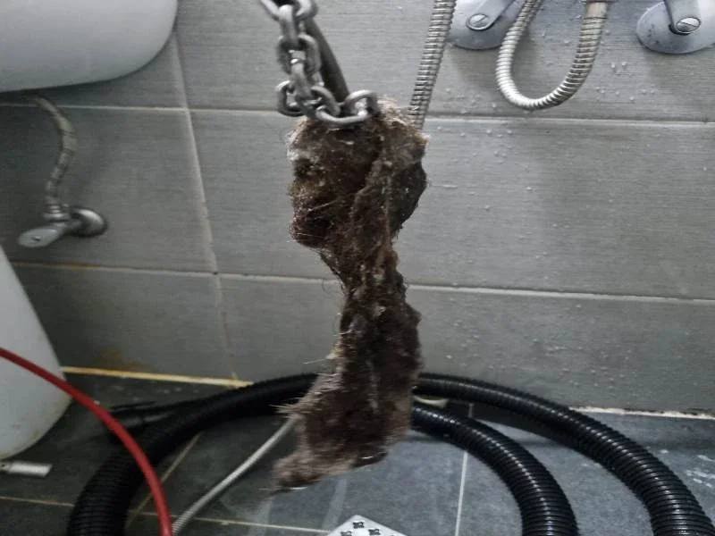 변기에 빠진 물건, 내시경으로 꺼내는 방법